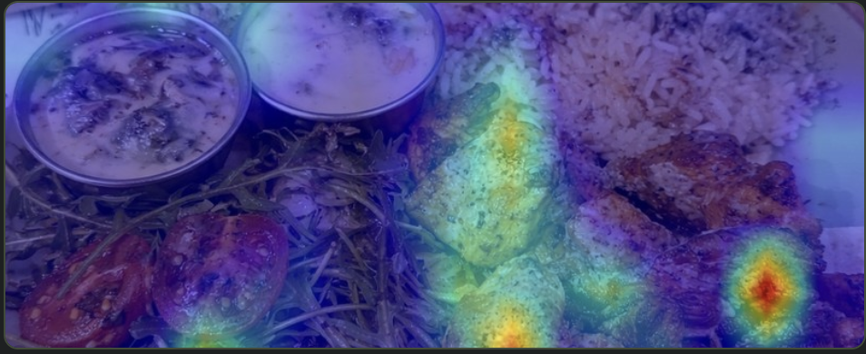 FraudBite heatmap of the same plate, with suspect areas highlighted on the chicken